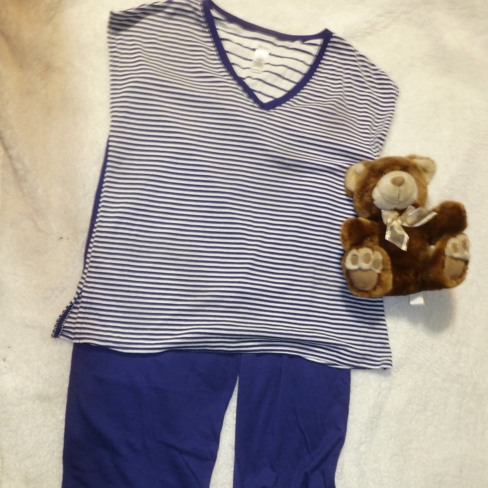 COZY NEW WTAGS LADIES, LIZ&CO. 2 PIECE PAJAMA SET SZ L